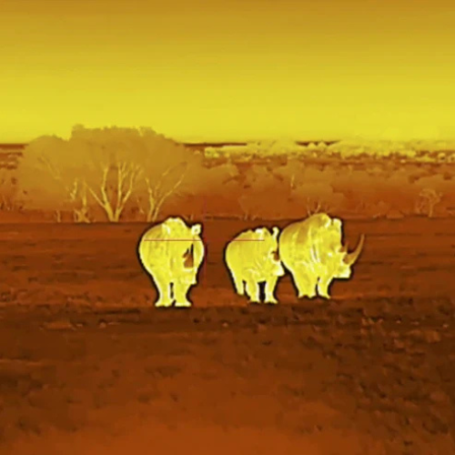 Sepia false color thermal imaging view through the AKRA VISION X 3–9x35 scope capturing high-contrast wildlife heat signatures.