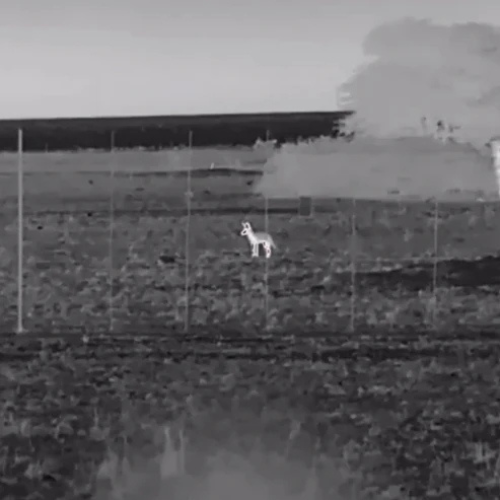 Black Hot thermal vision display view through the AKRA VISION X 3–9x35 thermal scope highlighting a heat signature in an open field.