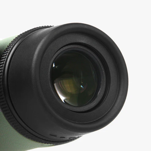 LEGACY ED 10x42 Binoculars - Image 3